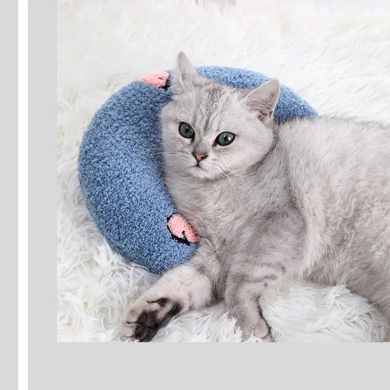 cat pillow blue pink