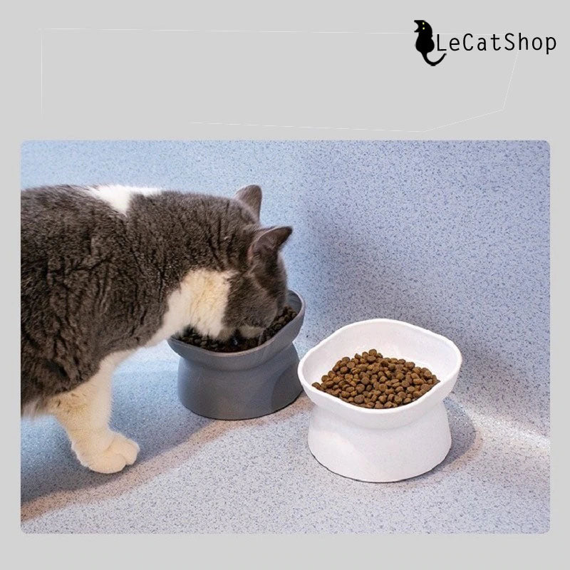 Grey white elevated cat bowls