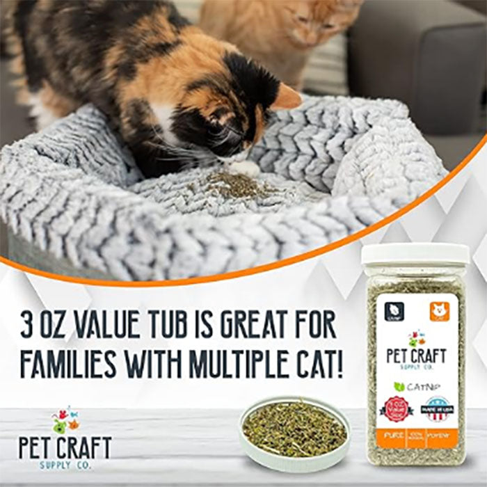Pet Craft Supply Herbe à chat puissante – Cultivée et récoltée aux États-Unis, grande boîte refermable de 85 g