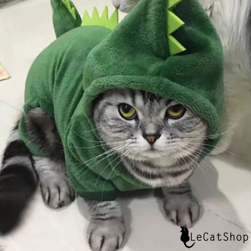 Dinosaur cat costume