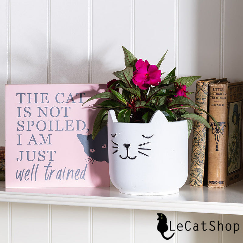 Cat home table decor 