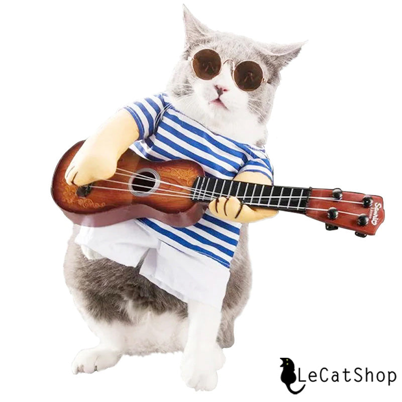 Guitar cat costume