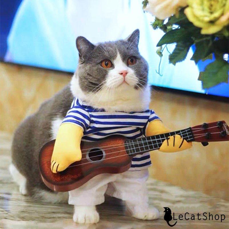 Guitar cat costume