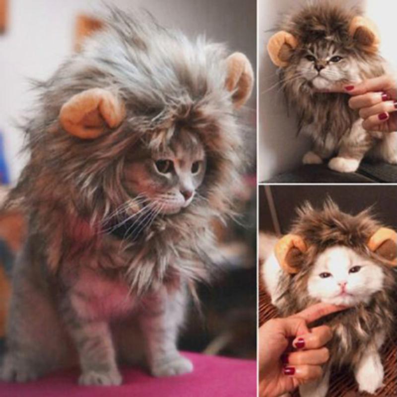 Lion mane cat costume