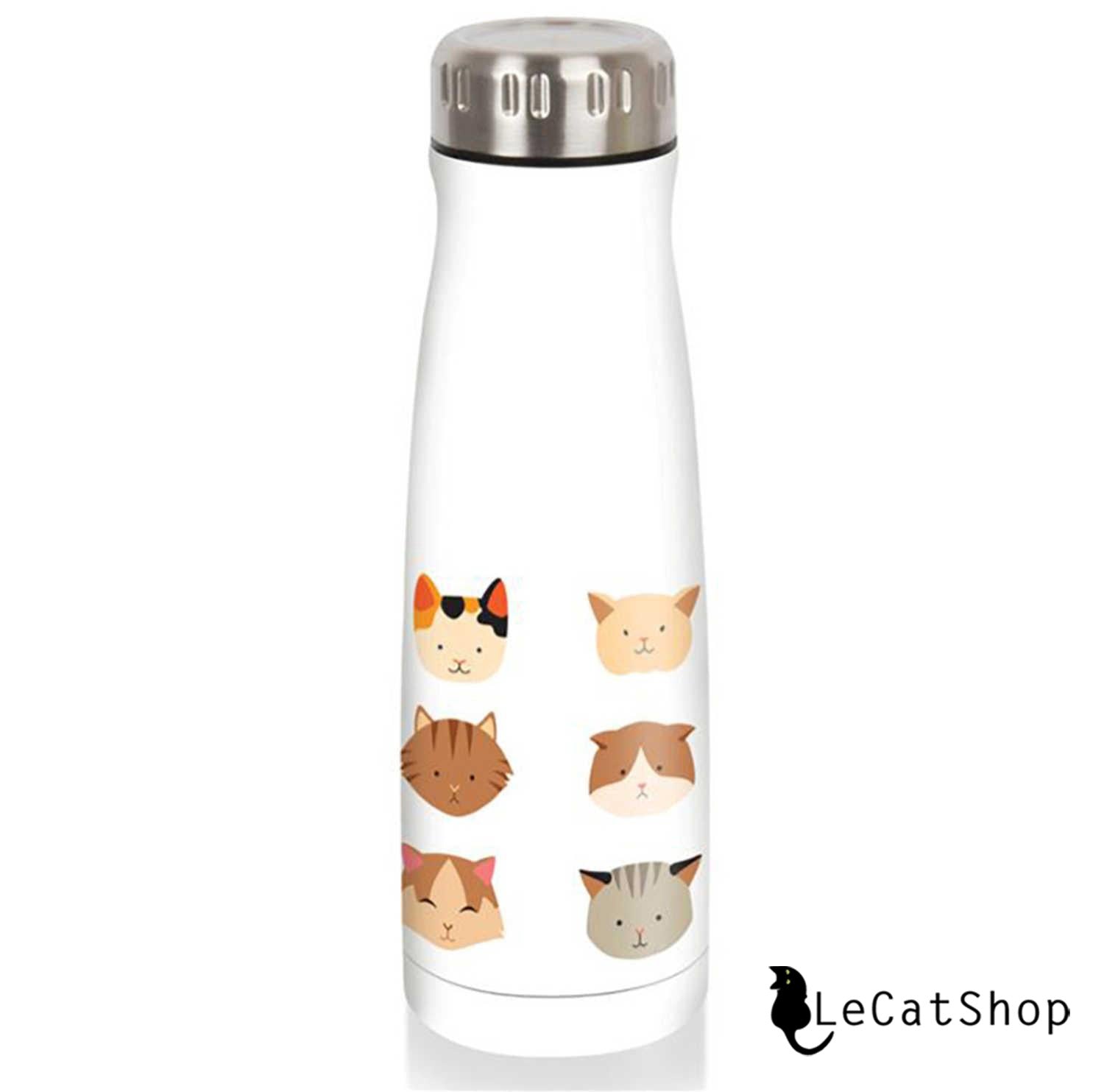 Cat faces water bottle