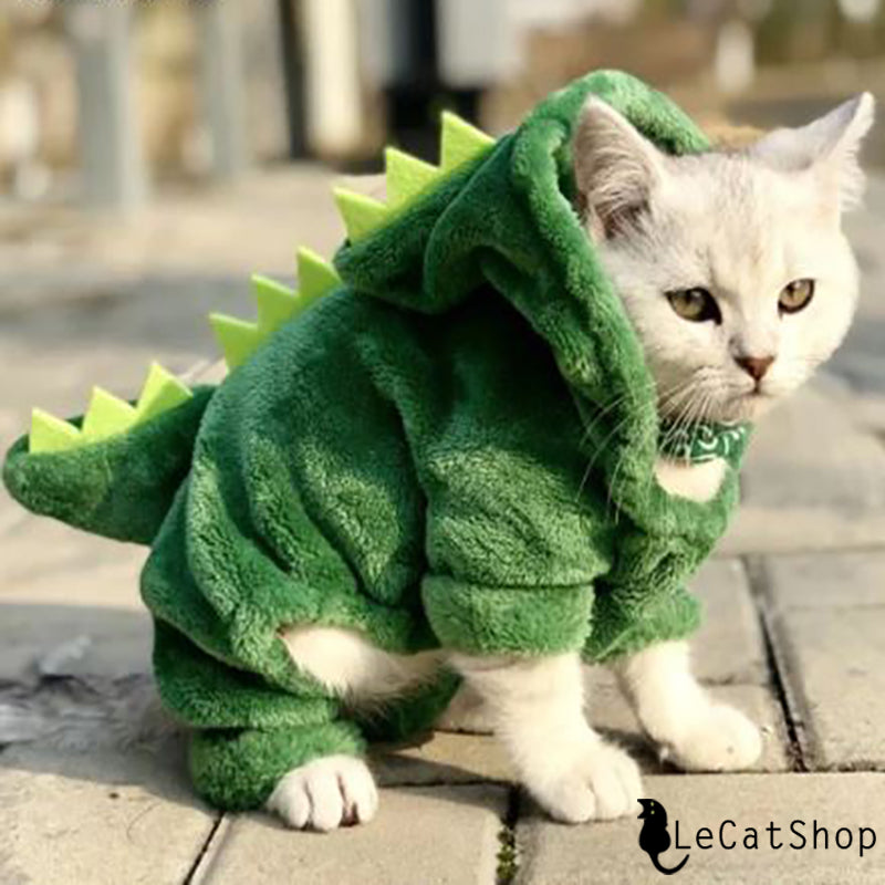 Dinosaur cat costume